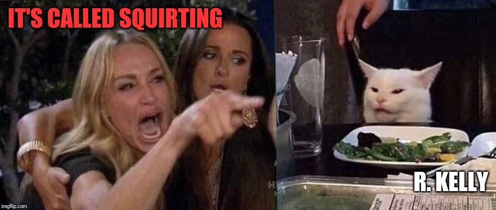woman yelling at cat | IT'S CALLED SQUIRTING; R. KELLY | image tagged in woman yelling at cat | made w/ Imgflip meme maker