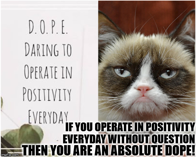 DOPE | IF YOU OPERATE IN POSITIVITY EVERYDAY WITHOUT QUESTION; THEN YOU ARE AN ABSOLUTE DOPE! | image tagged in dope | made w/ Imgflip meme maker