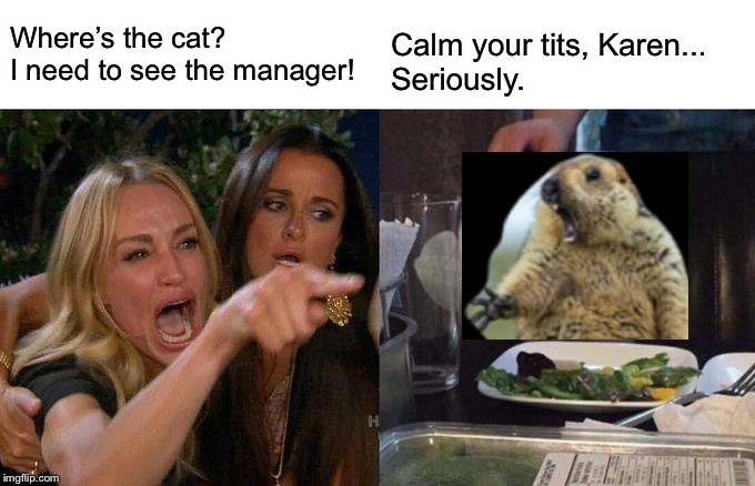 Calm your tits, Karen | Where’s the cat? 
I need to see the manager! Calm your tits, Karen... 
Seriously. | image tagged in memes,woman yelling at cat,funny | made w/ Imgflip meme maker