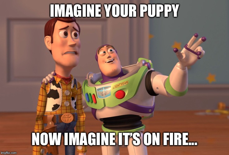 X, X Everywhere | IMAGINE YOUR PUPPY; NOW IMAGINE IT’S ON FIRE... | image tagged in memes,x x everywhere | made w/ Imgflip meme maker