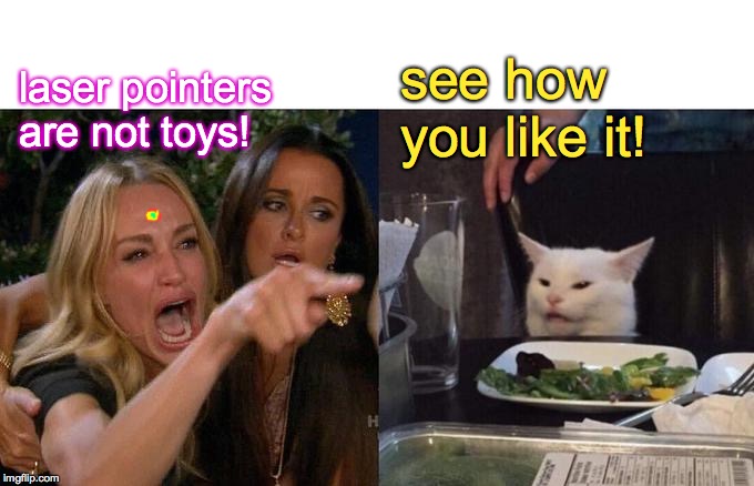 Woman Yelling At Cat Meme | see how you like it! laser pointers are not toys! | image tagged in memes,woman yelling at cat | made w/ Imgflip meme maker