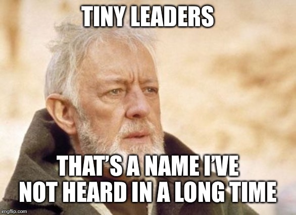 Obi Wan Kenobi | TINY LEADERS; THAT’S A NAME I’VE NOT HEARD IN A LONG TIME | image tagged in memes,obi wan kenobi | made w/ Imgflip meme maker