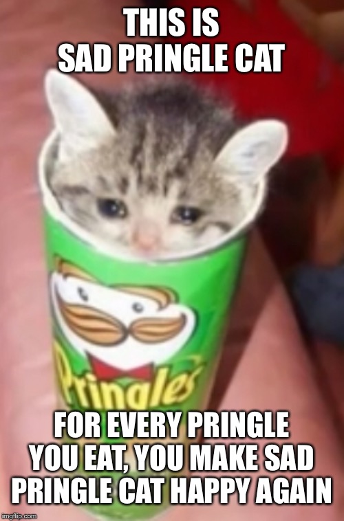 Will you make sad Pringle cat happy? | THIS IS SAD PRINGLE CAT; FOR EVERY PRINGLE YOU EAT, YOU MAKE SAD PRINGLE CAT HAPPY AGAIN | image tagged in sad,cat,pringles,crying cat,happy | made w/ Imgflip meme maker