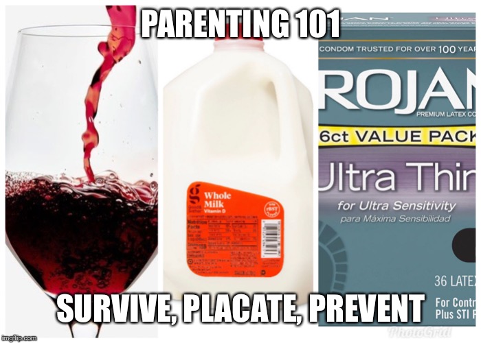 Parenting essentials | PARENTING 101; SURVIVE, PLACATE, PREVENT | image tagged in parenting essentials | made w/ Imgflip meme maker