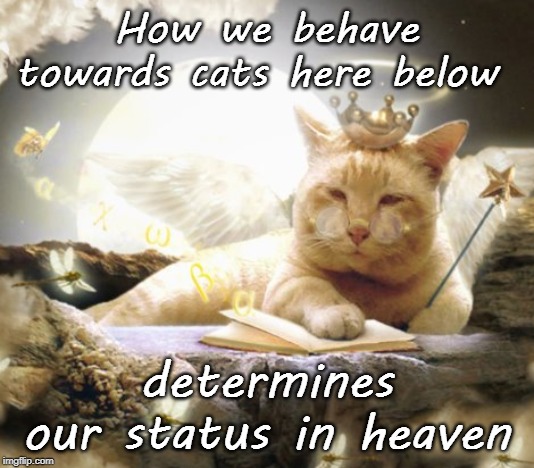 Determines our status | How we behave towards cats here below; determines our status in heaven | image tagged in cat | made w/ Imgflip meme maker