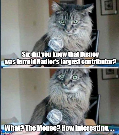 Lunch? | Sir, did you know that Disney was Jerrold Nadler's largest contributor? What? The Mouse? How interesting. . . | image tagged in cats,democrats,impeachment,trump impeachment | made w/ Imgflip meme maker