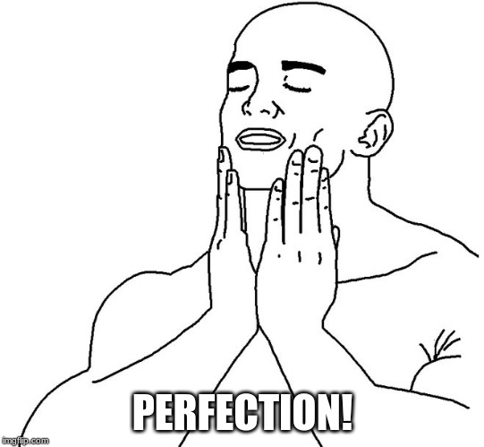 Satisfaction | PERFECTION! | image tagged in satisfaction | made w/ Imgflip meme maker