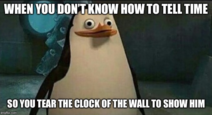 Confused Private Penguin | WHEN YOU DON’T KNOW HOW TO TELL TIME SO YOU TEAR THE CLOCK OF THE WALL TO SHOW HIM | image tagged in confused private penguin | made w/ Imgflip meme maker