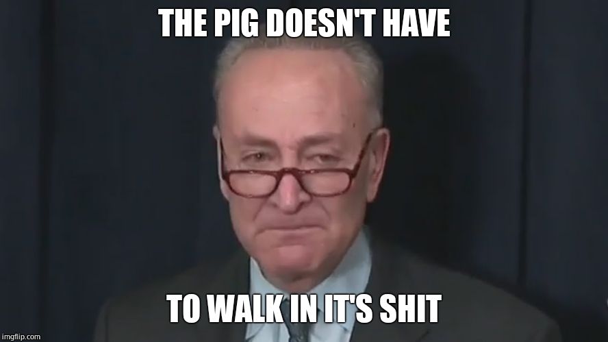 Chuck Schumer Crying | THE PIG DOESN'T HAVE TO WALK IN IT'S SHIT | image tagged in chuck schumer crying | made w/ Imgflip meme maker