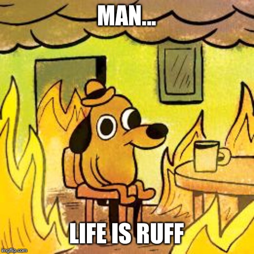 Dog in burning house |  MAN... LIFE IS RUFF | image tagged in dog in burning house | made w/ Imgflip meme maker