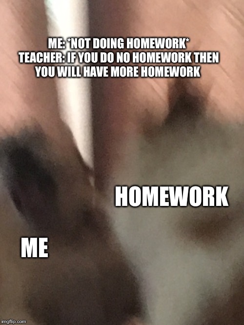 Homework | ME: *NOT DOING HOMEWORK*

TEACHER: IF YOU DO NO HOMEWORK THEN YOU WILL HAVE MORE HOMEWORK; HOMEWORK; ME | image tagged in homework | made w/ Imgflip meme maker