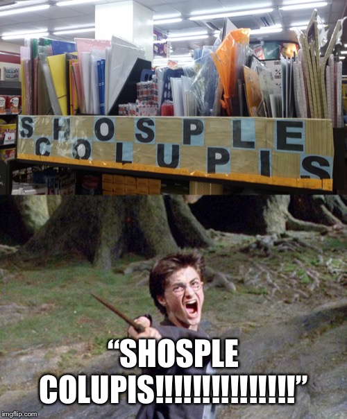 “SHOSPLE COLUPIS!!!!!!!!!!!!!!!” | image tagged in harry potter | made w/ Imgflip meme maker