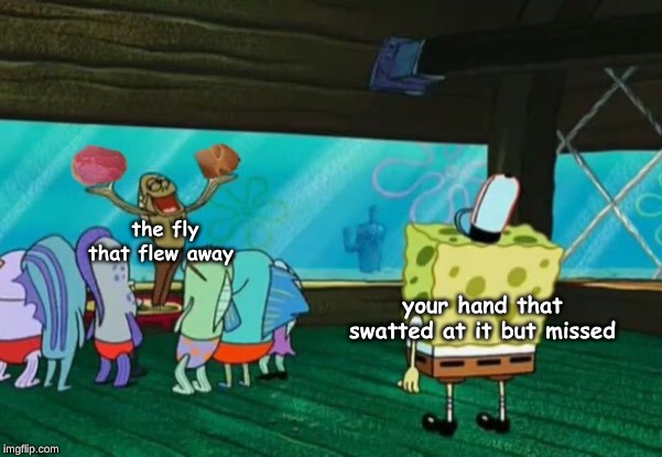 the fly that flew away; your hand that swatted at it but missed | image tagged in memes,random | made w/ Imgflip meme maker