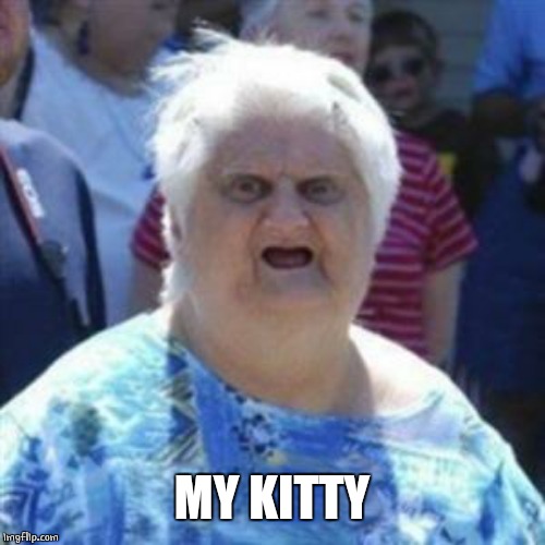 WAT Lady | MY KITTY | image tagged in wat lady | made w/ Imgflip meme maker