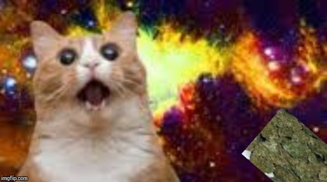 WOW CAT! 2 (in space) | image tagged in wow cat 2 in space | made w/ Imgflip meme maker