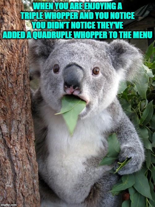 Surprised Koala Meme | WHEN YOU ARE ENJOYING A TRIPLE WHOPPER AND YOU NOTICE YOU DIDN'T NOTICE THEY'VE ADDED A QUADRUPLE WHOPPER TO THE MENU | image tagged in memes,surprised koala | made w/ Imgflip meme maker