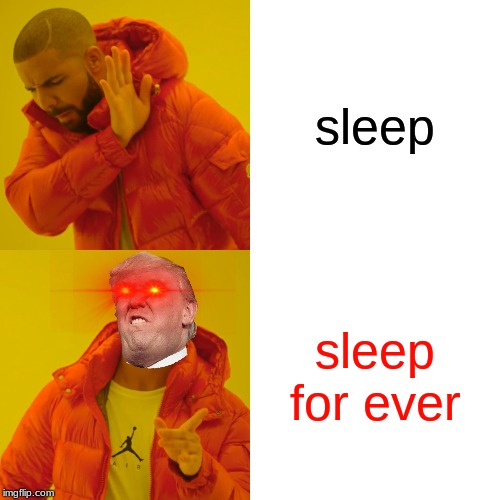 Drake Hotline Bling Meme | sleep; sleep for ever | image tagged in memes,drake hotline bling | made w/ Imgflip meme maker