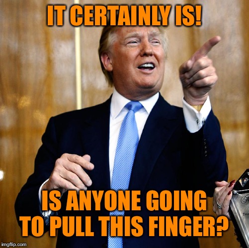 Donal Trump Birthday | IT CERTAINLY IS! IS ANYONE GOING TO PULL THIS FINGER? | image tagged in donal trump birthday | made w/ Imgflip meme maker