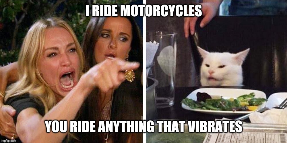 Smudge the cat | I RIDE MOTORCYCLES; YOU RIDE ANYTHING THAT VIBRATES | image tagged in smudge the cat | made w/ Imgflip meme maker