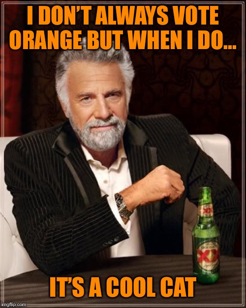The Most Interesting Man In The World Meme | I DON’T ALWAYS VOTE ORANGE BUT WHEN I DO... IT’S A COOL CAT | image tagged in memes,the most interesting man in the world | made w/ Imgflip meme maker