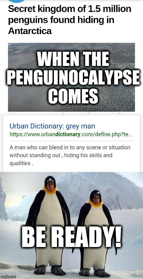 The Penguinocalypse is Coming! | WHEN THE PENGUINOCALYPSE COMES; BE READY! | image tagged in penguinocalypse,grey man,survival,penguin | made w/ Imgflip meme maker