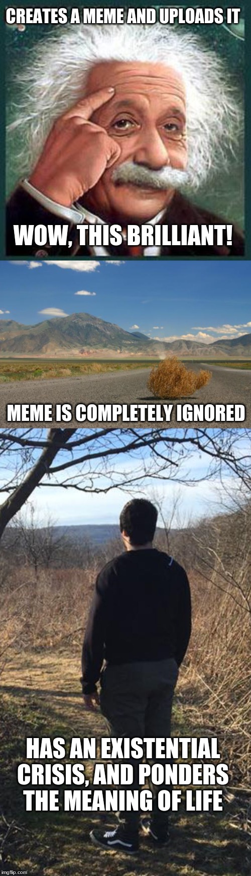 A life of a memer | CREATES A MEME AND UPLOADS IT; WOW, THIS BRILLIANT! MEME IS COMPLETELY IGNORED; HAS AN EXISTENTIAL CRISIS, AND PONDERS THE MEANING OF LIFE | image tagged in einstein,tumbleweed,rethink your life choices | made w/ Imgflip meme maker