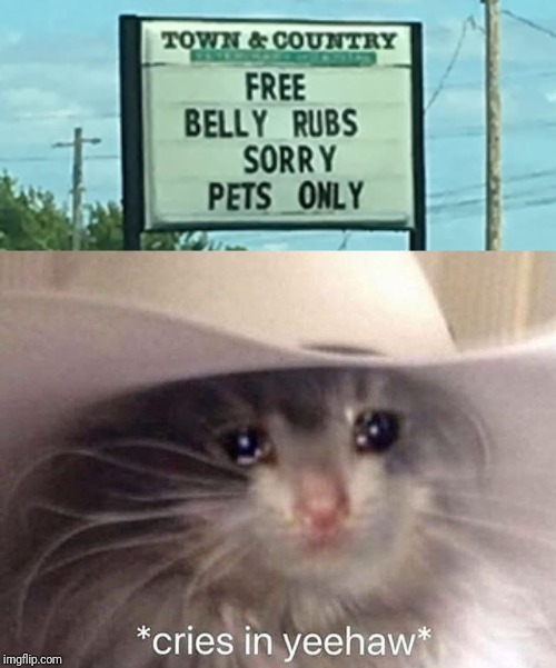Wrong sign, but are dangerous funny! | image tagged in funny,funny signs,medicine,crying,cats,wtf | made w/ Imgflip meme maker