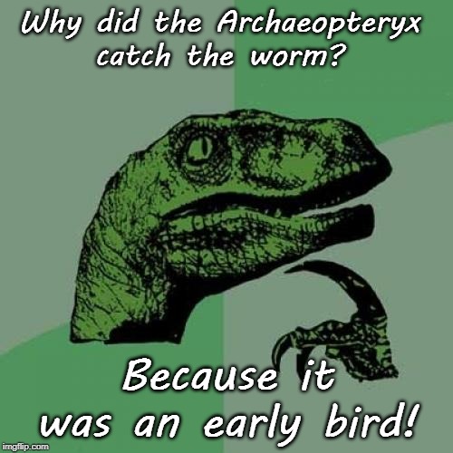Philosoraptor Meme | Why did the Archaeopteryx 
catch the worm? Because it was an early bird! | image tagged in memes,philosoraptor | made w/ Imgflip meme maker