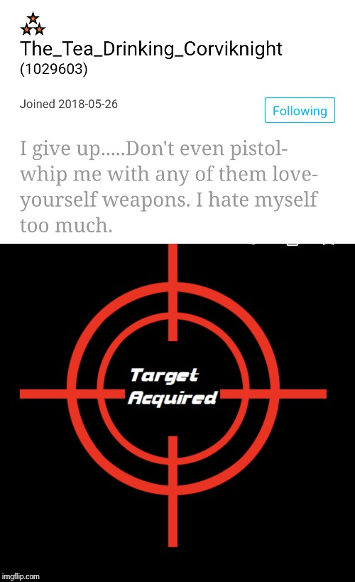 *readies the Love-Yourself AK-47* | image tagged in target acquired,memes,love yourself,ttdc | made w/ Imgflip meme maker