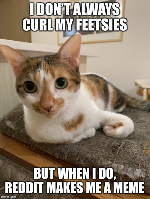 I DON’T ALWAYS CURL MY FEETSIES; BUT WHEN I DO, REDDIT MAKES ME A MEME | made w/ Imgflip meme maker