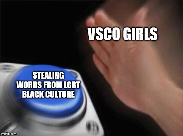 Blank Nut Button | VSCO GIRLS; STEALING WORDS FROM LGBT BLACK CULTURE | image tagged in memes,blank nut button | made w/ Imgflip meme maker