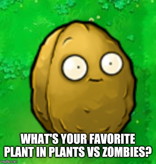 Wall-Nut | WHAT'S YOUR FAVORITE PLANT IN PLANTS VS ZOMBIES? | image tagged in wall-nut | made w/ Imgflip meme maker