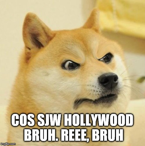 Confused Angery Doge | COS SJW HOLLYWOOD  BRUH. REEE, BRUH | image tagged in confused angery doge | made w/ Imgflip meme maker