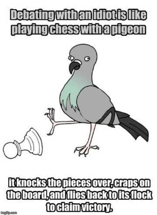 “Pigeon chess” example: When Trumpists call you “triggered” and loudly and prematurely claim victory | image tagged in debate,donald trump,politics,right wing | made w/ Imgflip meme maker