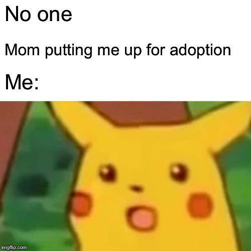 Surprised Pikachu | No one; Mom putting me up for adoption; Me: | image tagged in memes,surprised pikachu | made w/ Imgflip meme maker