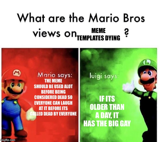 Mario Bros Views | MEME TEMPLATES DYING; THE MEME SHOULD BE USED ALOT BEFORE BEING CONSIDERED DEAD SO EVERYONE CAN LAUGH AT IT BEFORE ITS CALLED DEAD BY EVERYONE; IF ITS OLDER THAN A DAY, IT HAS THE BIG GAY | image tagged in mario bros views | made w/ Imgflip meme maker