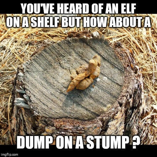 Poop | YOU'VE HEARD OF AN ELF ON A SHELF BUT HOW ABOUT A; DUMP ON A STUMP ? | image tagged in poop | made w/ Imgflip meme maker