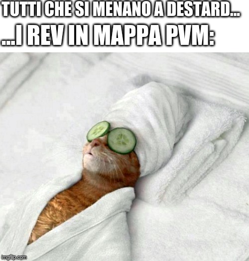Relaxicat | TUTTI CHE SI MENANO A DESTARD... ...I REV IN MAPPA PVM: | image tagged in relaxicat | made w/ Imgflip meme maker