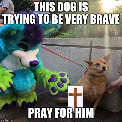 Dog afraid of furry |  THIS DOG IS TRYING TO BE VERY BRAVE; PRAY FOR HIM | image tagged in dog afraid of furry | made w/ Imgflip meme maker