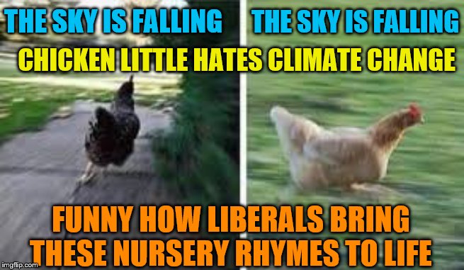 running chicken | THE SKY IS FALLING; THE SKY IS FALLING; CHICKEN LITTLE HATES CLIMATE CHANGE; FUNNY HOW LIBERALS BRING THESE NURSERY RHYMES TO LIFE | image tagged in running chicken,memes | made w/ Imgflip meme maker