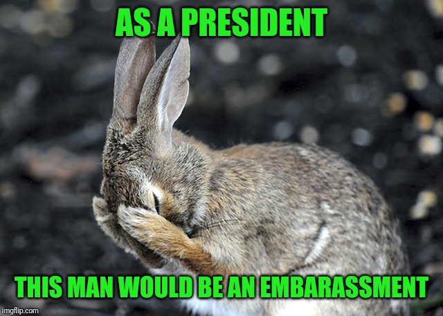 Bunny Hides | AS A PRESIDENT THIS MAN WOULD BE AN EMBARASSMENT | image tagged in bunny hides | made w/ Imgflip meme maker