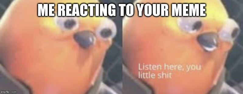 ME REACTING TO YOUR MEME | image tagged in listen here you little shit bird | made w/ Imgflip meme maker