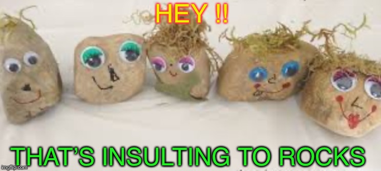 HEY !! THAT’S INSULTING TO ROCKS | made w/ Imgflip meme maker