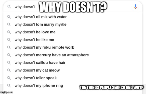 WHy doesn't?????????? |  WHY DOESN'T? THE THINGS PEOPLE SEARCH AND WHY? | image tagged in google search,google chrome | made w/ Imgflip meme maker