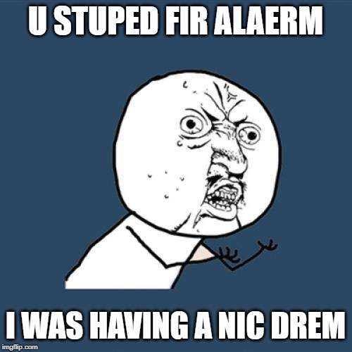 Y U No Meme | U STUPED FIR ALAERM I WAS HAVING A NIC DREM | image tagged in memes,y u no | made w/ Imgflip meme maker