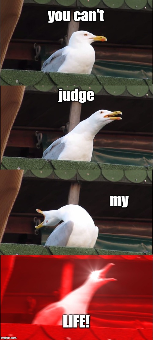 Inhaling Seagull Meme | you can't judge my LIFE! | image tagged in memes,inhaling seagull | made w/ Imgflip meme maker