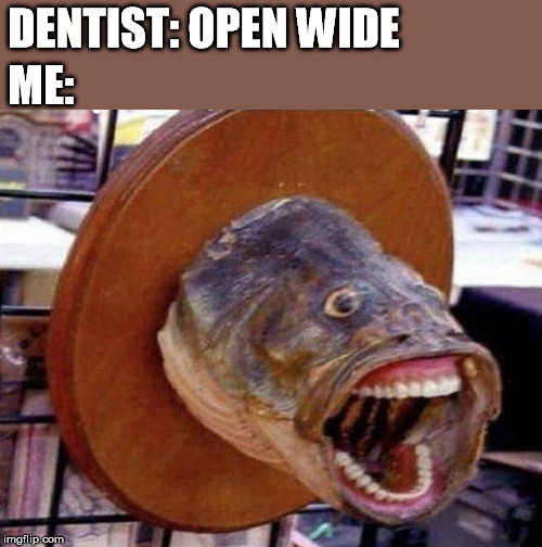 DENTIST: OPEN WIDE; ME: | image tagged in meme,dentist | made w/ Imgflip meme maker