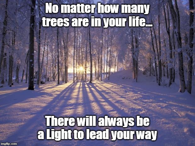 #StartLivingToday | No matter how many trees are in your life... There will always be a Light to lead your way | made w/ Imgflip meme maker