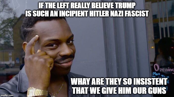 Roll Safe Think About It | IF THE LEFT REALLY BELIEVE TRUMP IS SUCH AN INCIPIENT HITLER NAZI FASCIST; WHAY ARE THEY SO INSISTENT THAT WE GIVE HIM OUR GUNS | image tagged in memes,roll safe think about it | made w/ Imgflip meme maker
