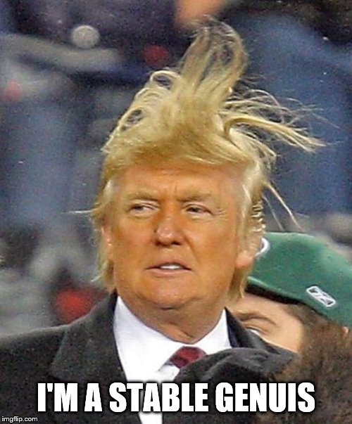 Donald Trumph hair | I'M A STABLE GENUIS | image tagged in donald trumph hair | made w/ Imgflip meme maker